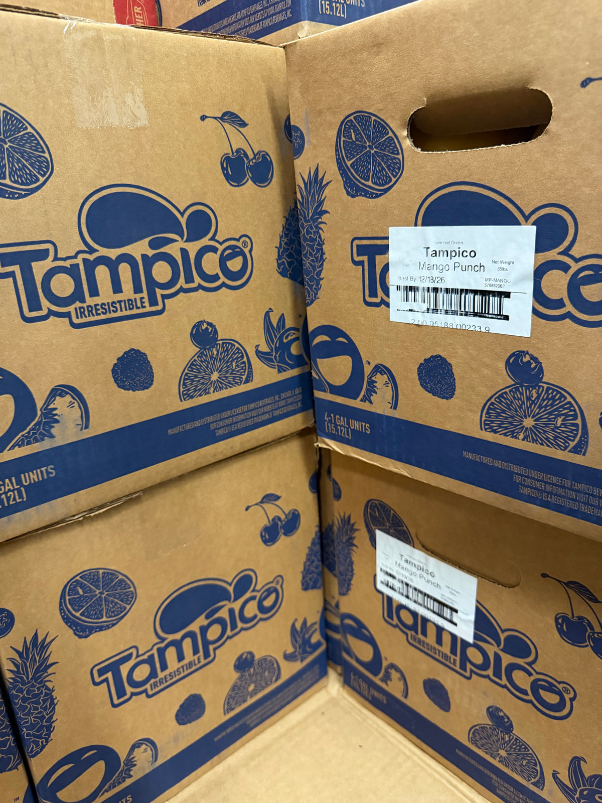 Tampico Mango Punch Juice Drink – 4 x 1 Gallon Case | Tropical Mango Beverage