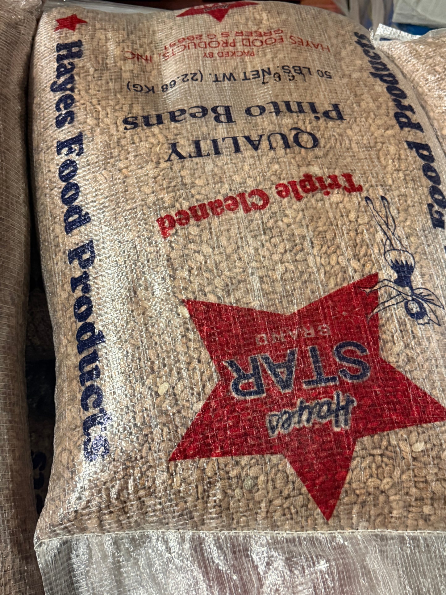 Triple Cleaned Quality Pinto Beans – 50 lb Bulk Bag | Hayes Food Products