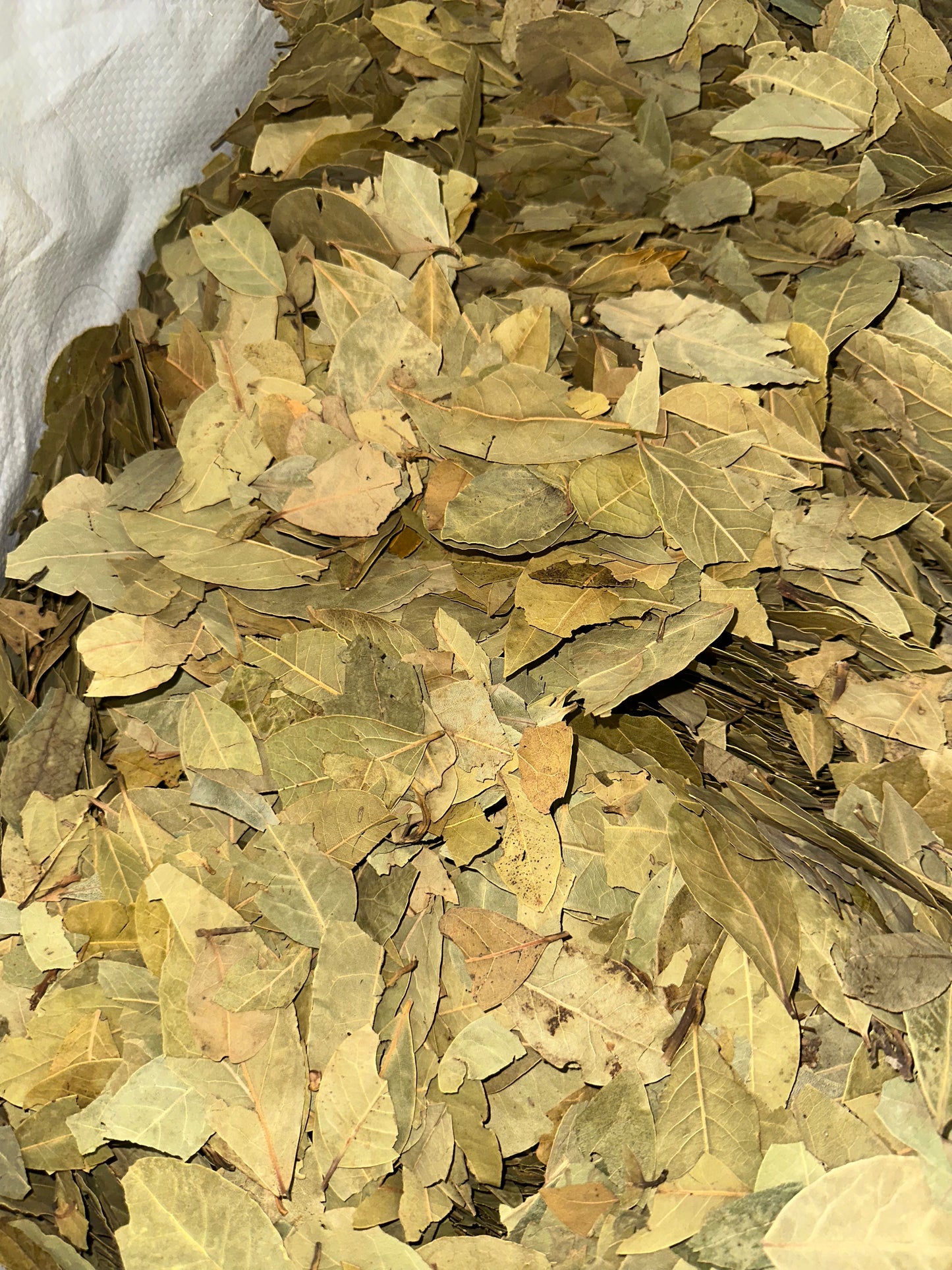 Hoja De Laurel Bay Leaves Suelto
